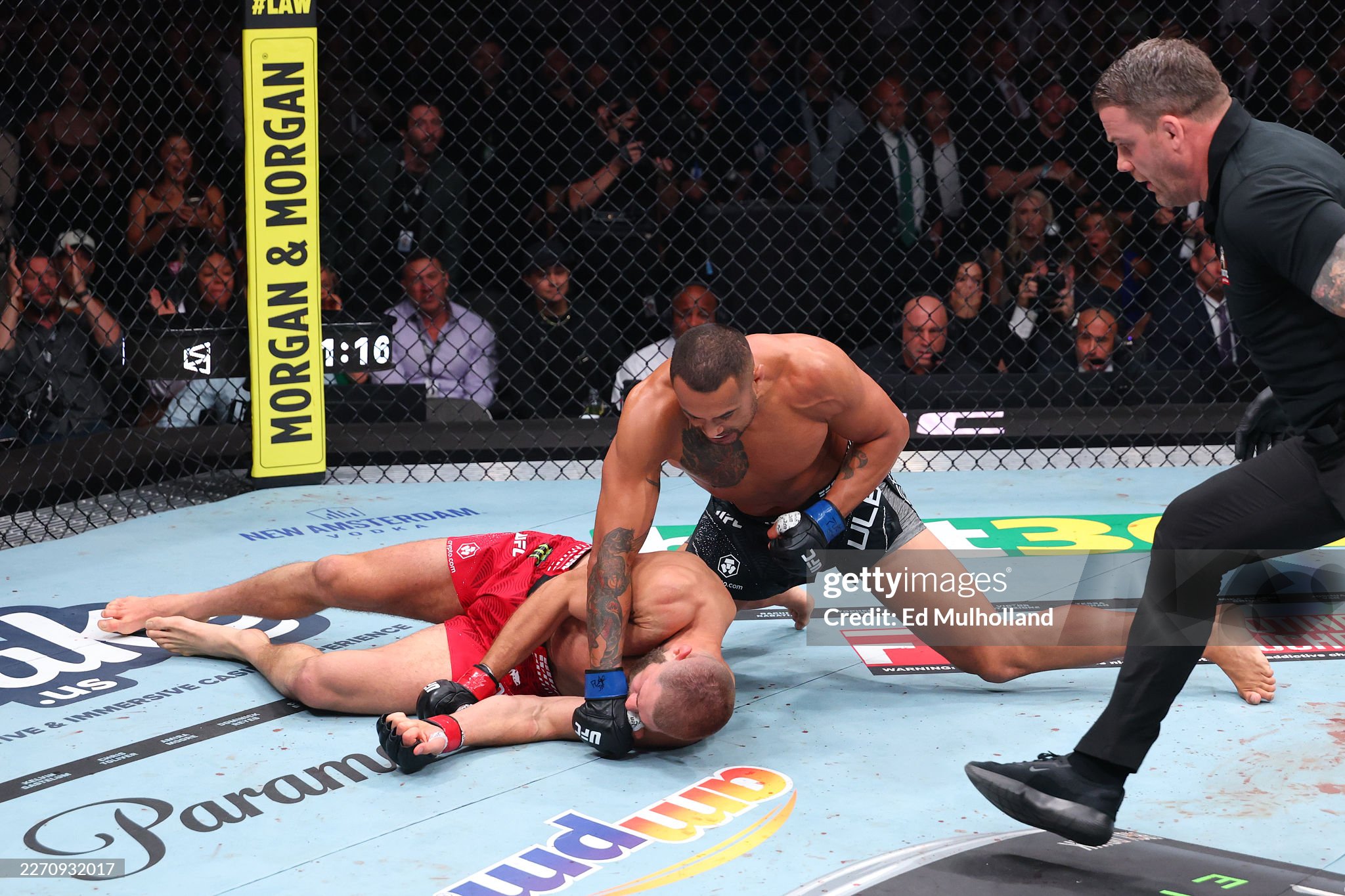 UFCda yangi chempion paydo bo'ldi!