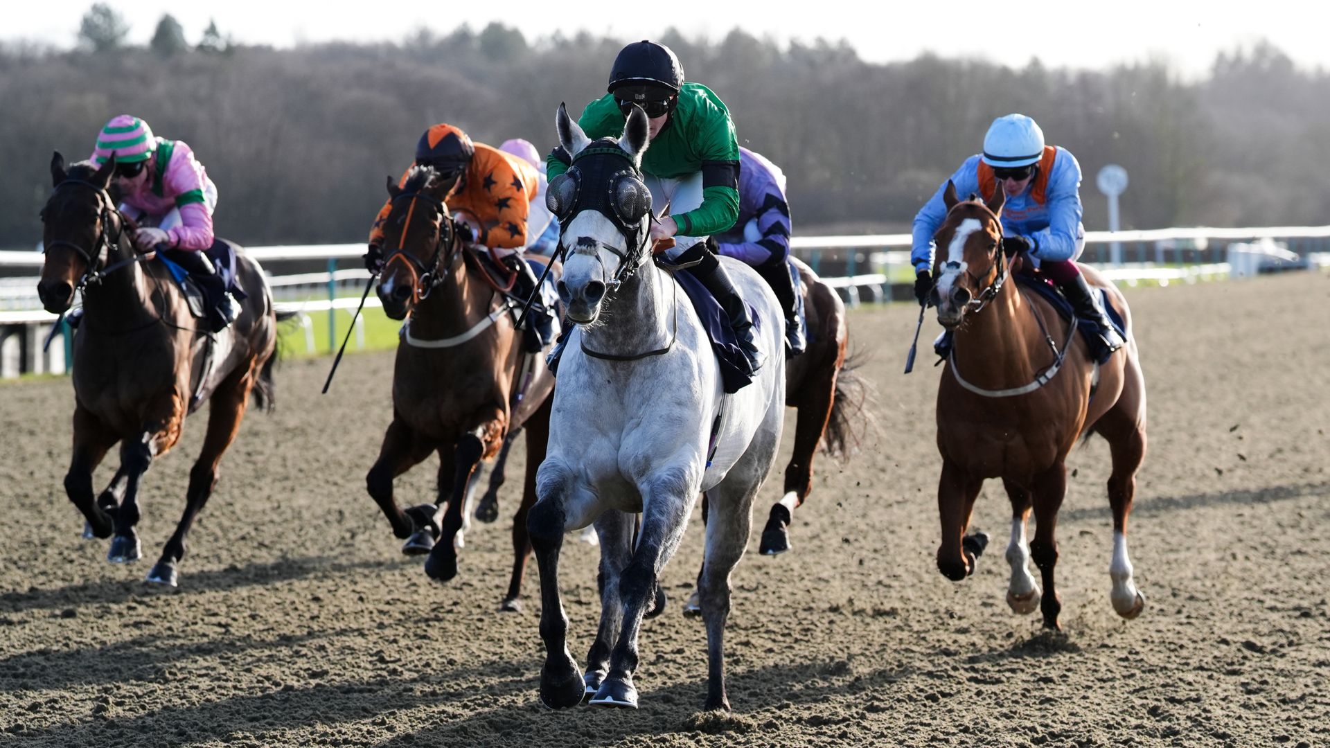 Wyld Bill Lingfieldda hat-trick qilishga harakat qiladi